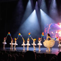 Ballettschule in Schaffhausen